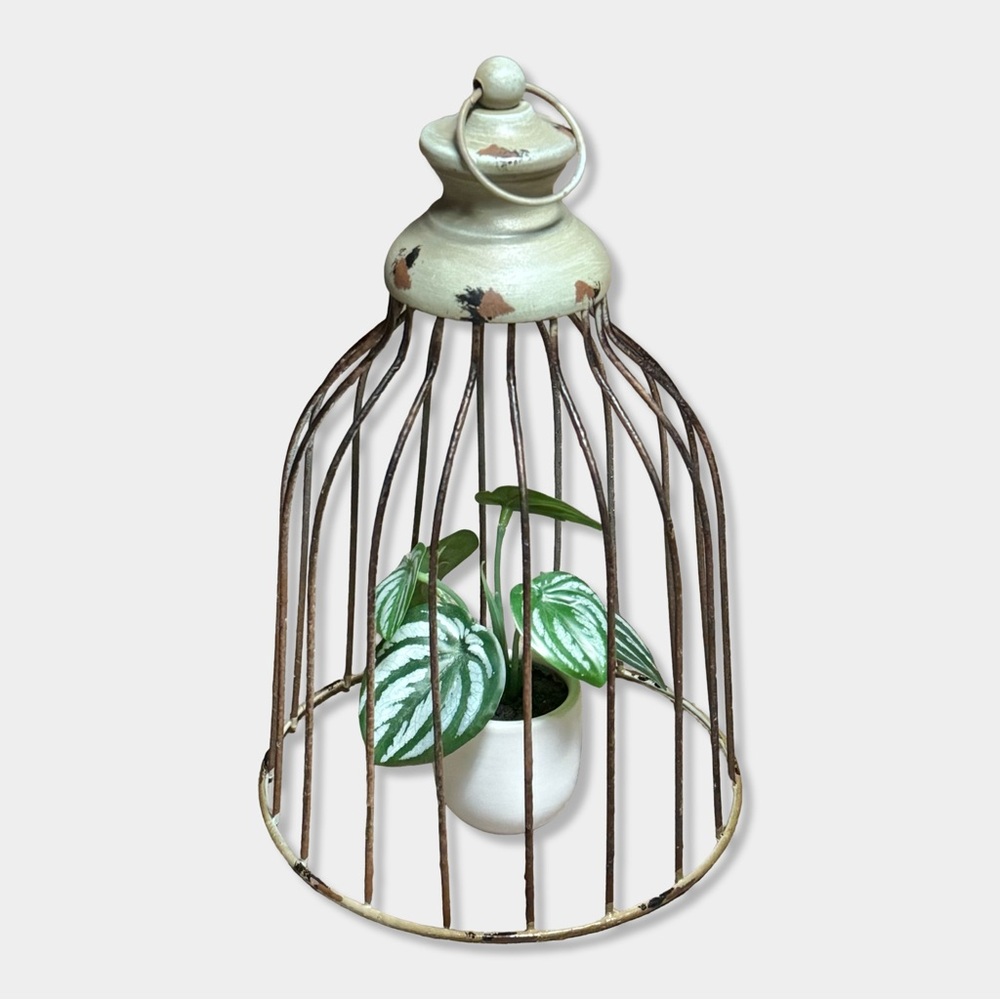 Vintage Style Rustic French Metal Wire Bird Cage Topiary Plant Cloche Dome Decor